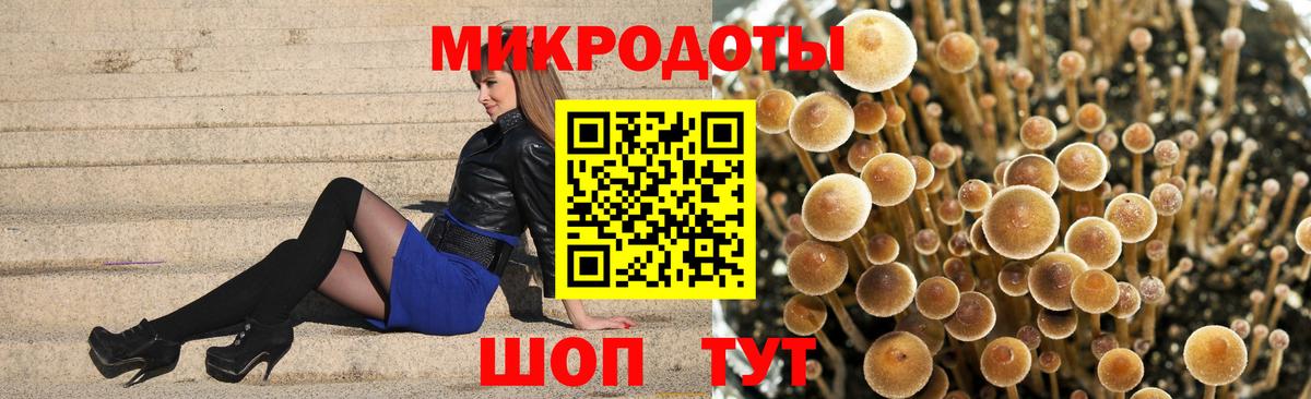 Галлюциногенные грибы прущие грибы Тихорецк